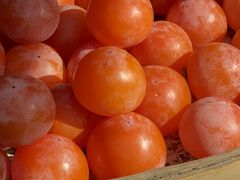 -蒋村酒楼(河渚街店)