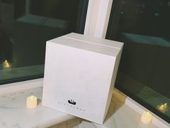 -BLACKSWAN黑天鹅(环球店)