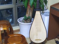 -音歆国艺馆·民乐培训(双榆树店)