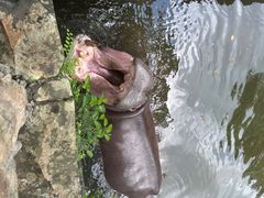 -海南热带野生动植物园