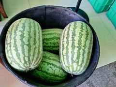 -西湾土八灶· 旺山老字号农家菜