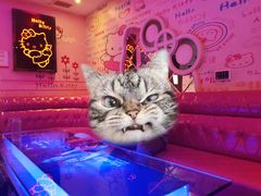 -名星会量贩式KTV旗舰店(盈熙广场店)