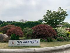 -嘉定紫藤园