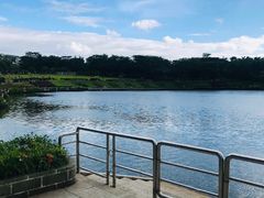 -东莞植物园