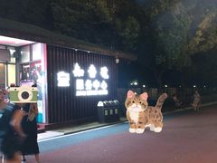 -武汉知音号
