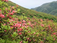 -大围山国家森林公园
