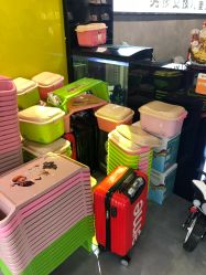 -男孩女孩亲子儿童摄影(真实客照店)