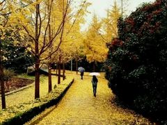 -山东农业大学(岱宗校区)