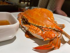 船歌特色生腌蟹钳-船歌·鱼水饺青岛菜(闽江二路店)