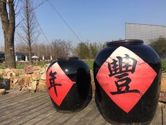 -田园东方蜜桃村的田野营地