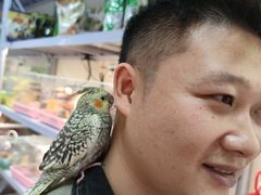 -青石桥花鸟鱼虫市场(叠翠城店)