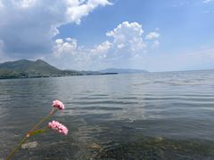 -大理洱海