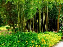-兰亭风景区