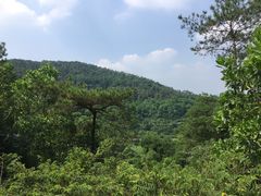 -火炉山森林公园
