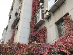 -北京医院