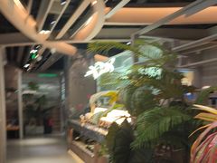 -湊湊火锅·茶憩(皇姑万象汇店)