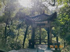 -鼎湖山风景区