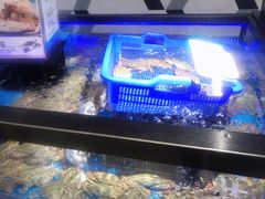 加拿大面包蟹-盒马鲜生(岭南新世界店)