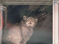 -青藏高原野生动物园