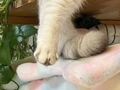-小时光咖啡馆(北锣鼓巷店)