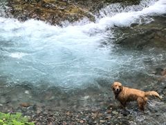-西岭雪山大飞水景区