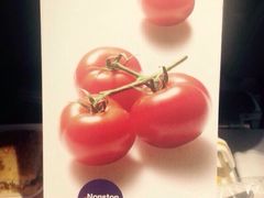 德国汉莎航空-德国汉莎航空公司