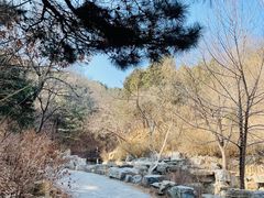 -北京西山国家森林公园