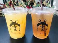 -TrueLove @ Neverland (Husky Cafe)