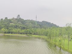 -东莞植物园