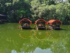 -侨美·唐荔园·40年地道粤菜