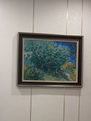 -苏州卫康美容医院