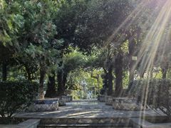 -广州神农草堂中医药博物馆