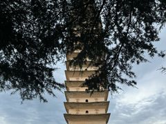 -崇圣寺三塔文化旅游区