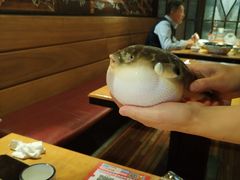 -永安鱼庄·镇江菜(三店纬五路店)
