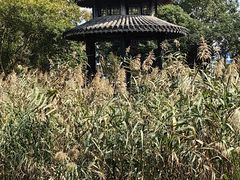 -慈城古县城景区