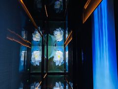 -新盈光·心院(嘉恒广场店)