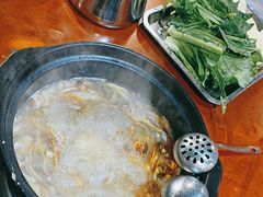 -蘑统田下·野生菌火锅