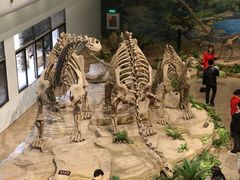 -自贡恐龙博物馆