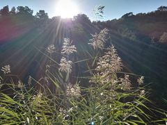 -香山公园-东宫门售票处