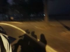 -万绿园