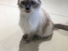 -藏猫猫咖啡主题馆(中央大道店)