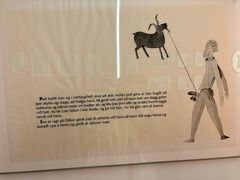 -冰岛阴茎博物馆