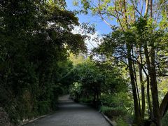 -小南山公园