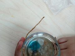 -中国杭州低碳科技馆