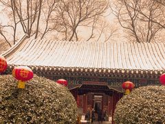 -荣国府