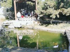 -三里河公园
