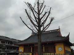 -上海青龙寺