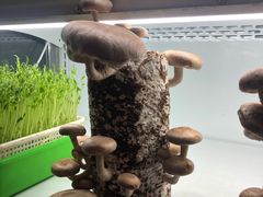 -番食园鲜食火锅(高新店)
