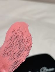 -Wax Brow蜜蜡脱毛美甲美睫眉吧