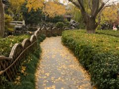 -东山雕花楼